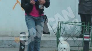 Nadine, o aparitie soc pe strazile din Bucuresti