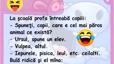 BANC | Bulă și doamna de muzică