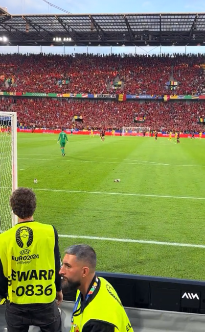 Ce a făcut un spectator român, în pielea goală, după ce a intrat în teren: „Ia, bă, adidasu'”. Imagini virale de la meciul României!