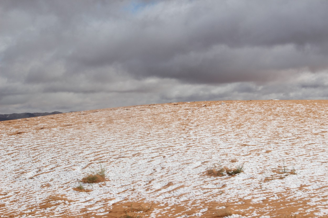 Picture dated January 6th shows a covering of snow in the Sahara Desert near Mekalis in northwestern Algeria.SNOW has fallen in the SAHARA Desert after temperatures dropped below freezing.A photographer took incredible pictures of rare SNOW and ICE in the small Saharan desert town of Mekalis in northwestern Algeria yesterday (Thurs).The ice created patterns in the sand after the area saw a sprinkling of snow fall unexpectedly yesterday.The dusting of snow is the fifth time in 42 years that the town has snow, with previous occurrences in 1979, 2016, 2018 and 2021.
Snow and ice Saharan desert, Algeria - 07 Jan 2022,Image: 651687871, License: Rights-managed, Restrictions: , Model Release: no, Credit line: Profimedia