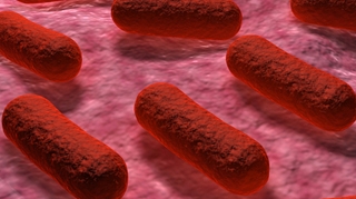 O femeie cu sindrom hemolitic si uremic generat de bacteria E.coli a murit in Franta