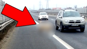 Aparitie ULUITOARE pe autostrada Bucuresti-Pitesti! Toti soferii si-au facut cruce cand au vazut ASTA in mijlocul strazii