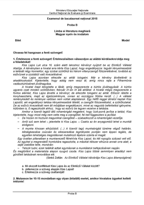 Bacalaureat 2019. Ce subiecte au picat la limba și literatura maternă oral