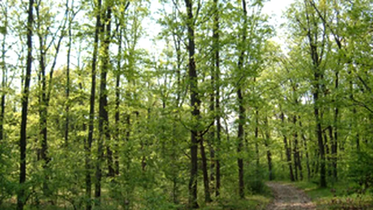 S-a impuscat singur, din greseala, cu o arma gasita in padure