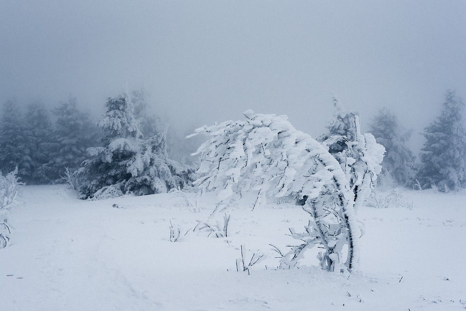 Prognoza meteo 15 ianuarie: cod portocaliu de vreme severă! Două judeţe se află sub avertizate de  viscol