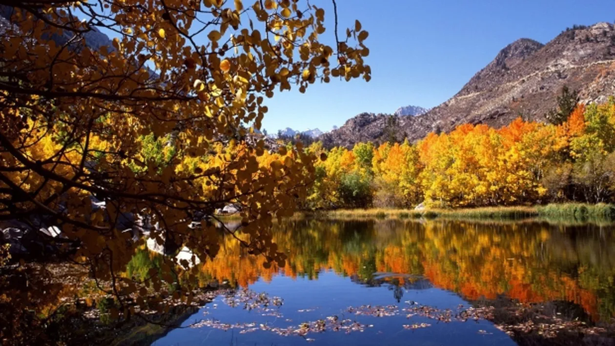 METEO 19 NOIEMBRIE: Temperaturi ridicate pentru aceasta perioada