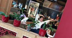 Galerie foto - poza 2