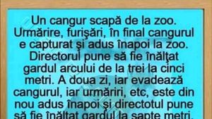 BANCUL ZILEI | Un cangur scapă de la zoo