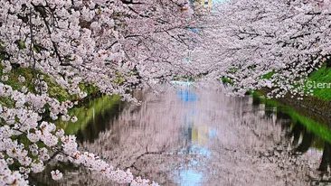 Cum ne afecteaza schimbarea la ora de vara! Ce sa intampla cu organismul nostru