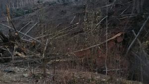 Alertă în Prahova! A avut loc o alunecare de teren și au fost evacuate 150 de persoane