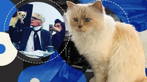 Pisica-moștenitoare a lui Karl Lagerfeld are menajeră, stilist personal și doarme pe haine de lux! Choupette nu acceptă comenzi și trăiește ca o divă!