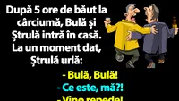 BANC | După 5 ore de băut, Bulă și Ștrulă intră în casă