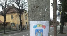 Galerie foto - poza 3