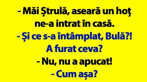 BANC | Bulă, Bubulina și hoțul ghinionist