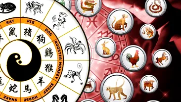 Cele 3 semne din zodiacul chinezesc vor avea o lună ianuarie de coşmar! Probleme de buget şi la locul de muncă