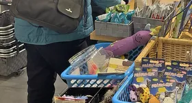 Galerie foto - poza 1