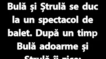 BANC | Bulă și Ștrulă se duc la un spectacol de balet