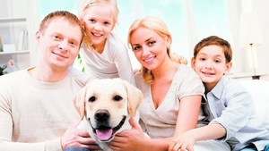 Celebrul dresor Cesar Millan ne da cele mai bune ponturi pentru dresaj si acomodare