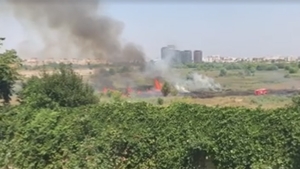 Incendiu de vegetaţie în Delta Văcăreşti!