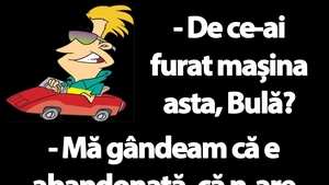 BANC | "De ce-ai furat mașina asta, Bulă?"