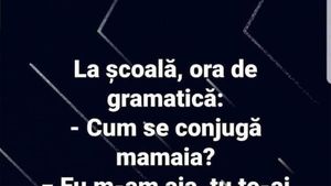 BANC | Ora de gramatică: "Cum se conjugă 'mamaia'?"