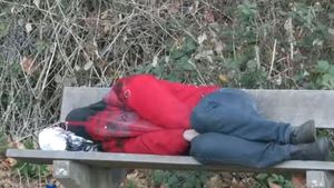 Muncitor român, lăsat să doarmă pe bancă în pădure de patron, în Germania: „Am sunat la poliție!”