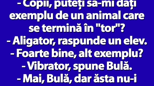 BANCUL ZILEI | Profesoara: "Bulă, dă-mi exemplu de un animal care se termină în TOR!"