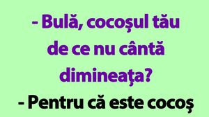 BANC | "Bulă, cocoșul tău de ce nu cântă dimineața?"