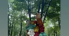 Galerie foto - poza 4