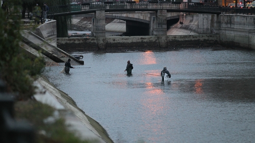 Cei mai impatimiti pescari din Bucuresti! Au intrat in Dambovita si au aruncat plasa chiar langa Camera de Comert