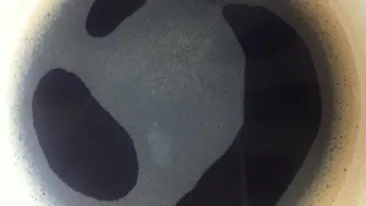 Delia Matache a citit in cafea ca va avea un bebe!