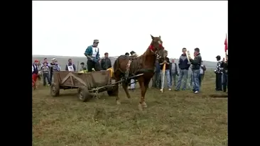 Romania, o tara de tarani! Uite cel mai tare concurs de hipism autohton! Fac intreceri cu caii si carutele si se chinuie sa le parcheze