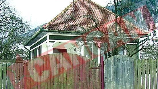 Sportiv de performanta in tara, mafiot in Spania