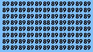 Test de perspicacitate | Găsiți numărul 88 în cel mult 5 secunde!