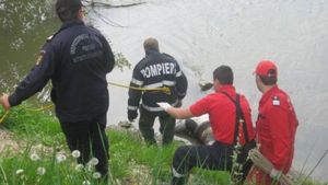 Pompierii din Alba caută în râul Mureș o femeie de 37 de ani! A venit din Anglia și a dispărut de la rude