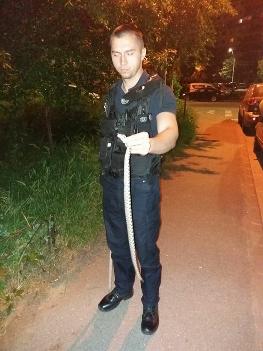 Jandarmii au intervenit rapid pentru prinderea viperei