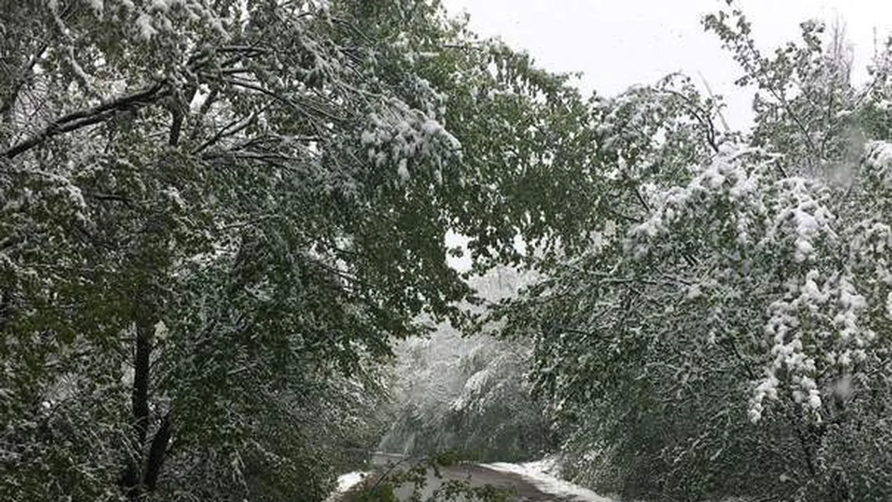METEO 14 IANUARIE! ANM a emis cod galben de vânt! Care sunt zonele vizate