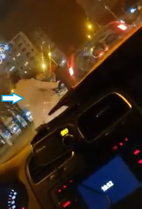 Doi șoferi din Iași s-au bătut în trafic ca-n ringul de box. Imaginile violente au fost filmate de un martor | FOTO