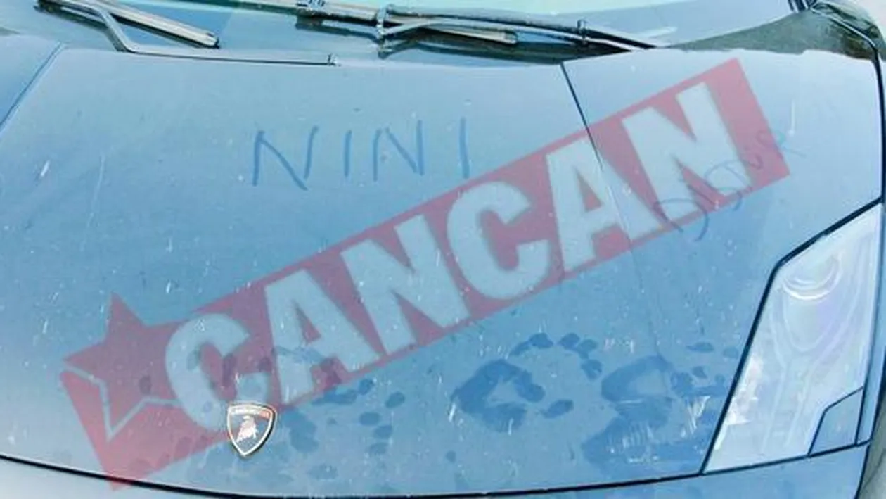 Au facut pipi pe Transfagarasan!