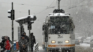 Tramvaiele liniilor 25, 35 si 8 sunt blocate pe Bulevardul Timisoara!