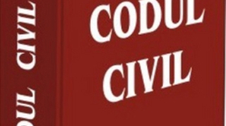 Consiliul de familie, o noua institutie introdusa de noul Cod civil incepand cu 1 octombrie 2011