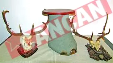 Ceausescu are un picior de elefant la Muzeul Satu Mare