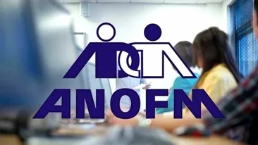 Vrei să te angajezi? ANOFM a publicat lista locurilor de muncă vacante la nivel național!