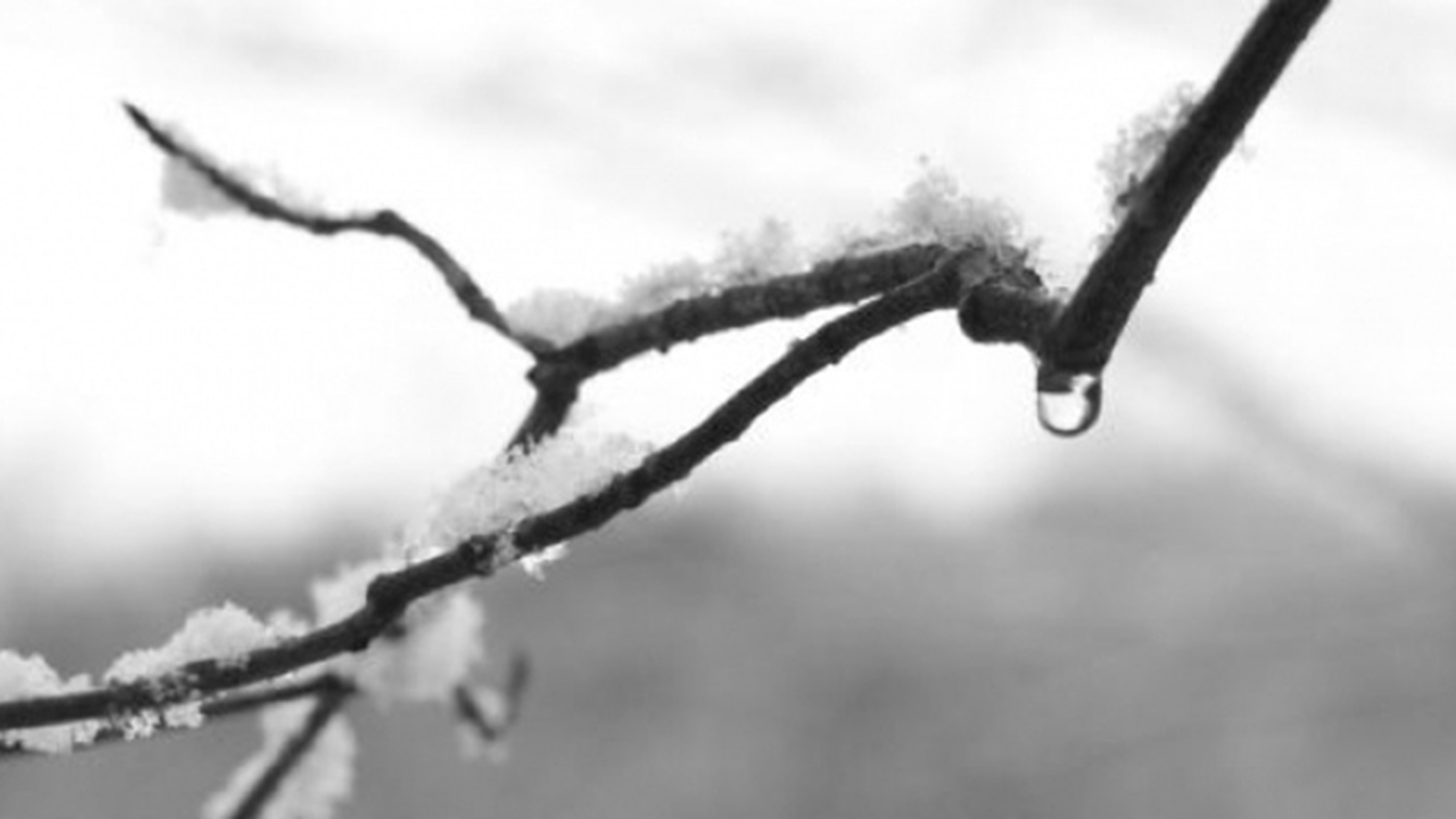 METEO 23 ianuarie! COD GALBEN de ceata, polei si vant puternic.
