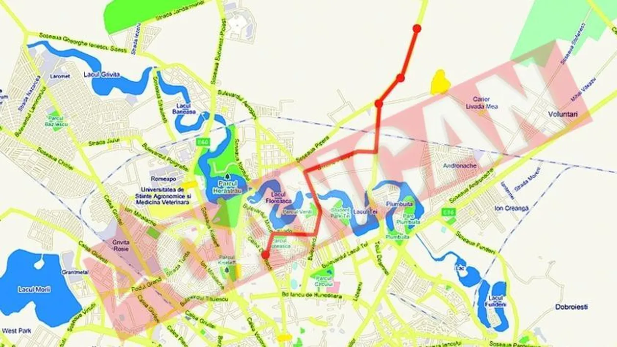 Fata lui Ogica, in pelerinaj la palatul lui Becali