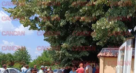 Galerie foto - poza 4