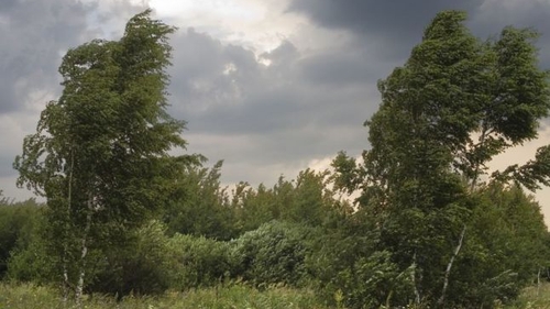 METEO 7 NOIEMBRIE! Înnorările vor persista în toată ţara
