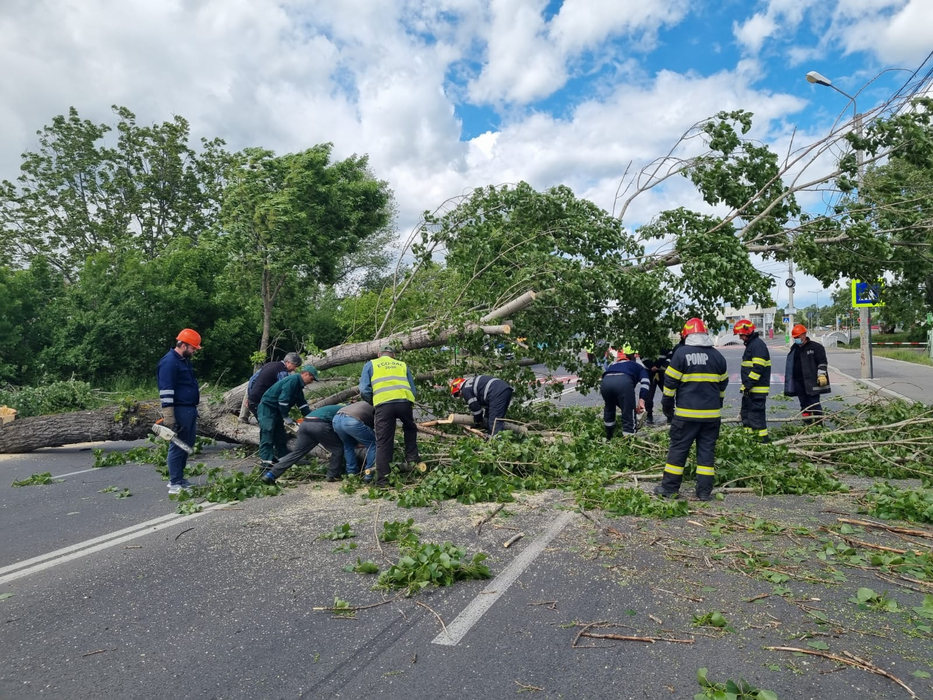 Codul galben a făcut ravagii în România. Copaci prăbușiți, drumuri blocate și mașini avariate. FOTO