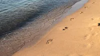 Pericolul de pe litoral. La ce trebuie să aibă grijă turiștii de la Marea Neagră