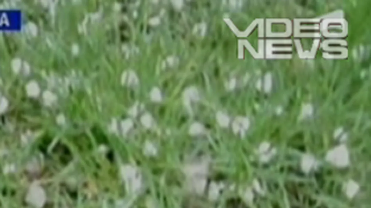 VIDEO Vreme rece in urmatoarele trei zile!